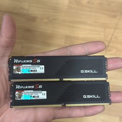 Crucial DDR5 s5 Ram