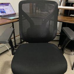 Mesh Costco Office Chair