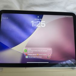 iPad Mini Current Model 128