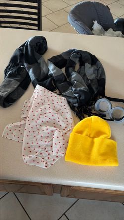 Gru  Lucy  minion costumes