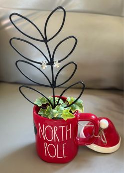 Variegated Ivy in Rae Dunn Holiday Mug