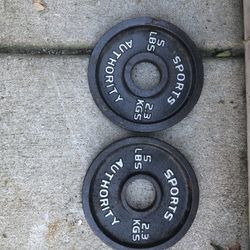 Pair of Fitness Gear Steel Plates 10 Lb