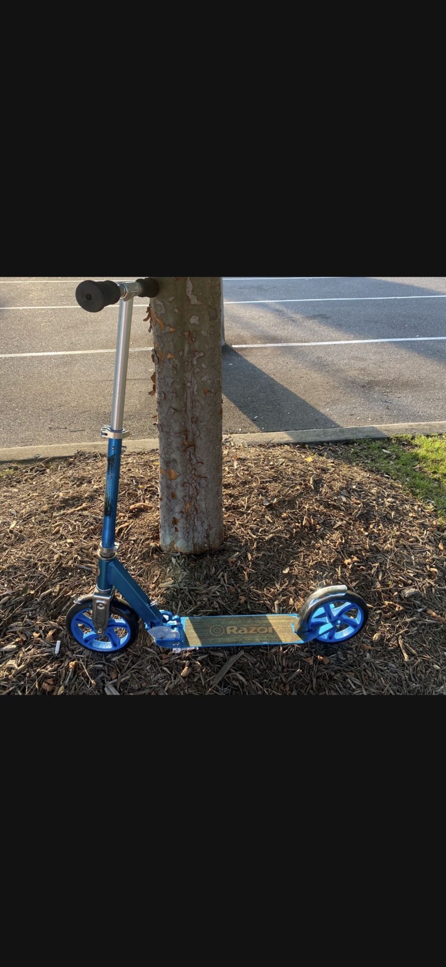 SCOOTER