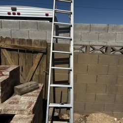 Ladder