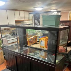 210 Gallons Fish Tank 