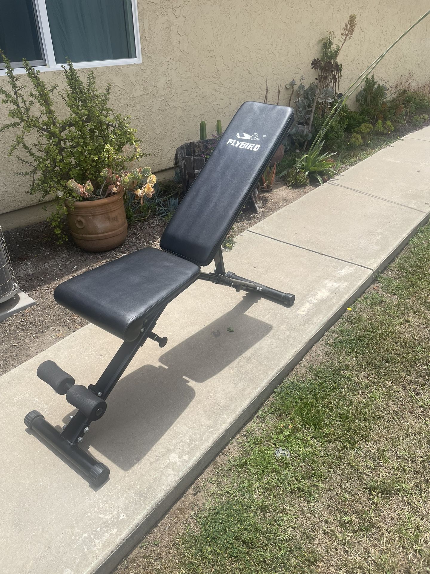 Flybird Weight Bench