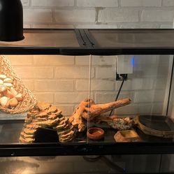 Reptile Cage With Accessories 