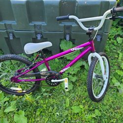 Free Agent Champ BMX 