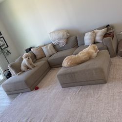 Sectional Couch