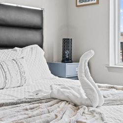 🌟 STUNNING MOVING SALE! Fully Furnished 2-Bedroom Apartment in St. Pete - Everything Must Go! 🌟