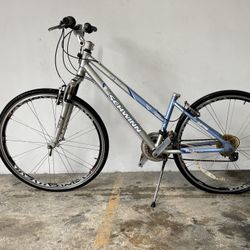 Schwinn Pathway Hybrid Woman’s Bike