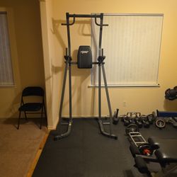 Fitness Gear Power Tower
