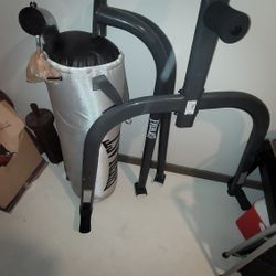 Everlast Punching Bag 
