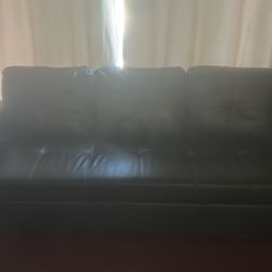 A Couch That Turns Into A Bed 