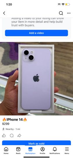 iPhone 13 