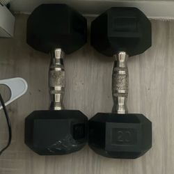 20 lb dumbbells