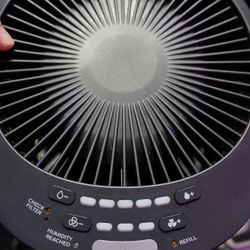 Cool Moisture Humidifier with Humidistat, Black Honeywell HEV615B