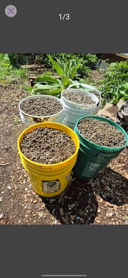 Premium Rabbit  Manure