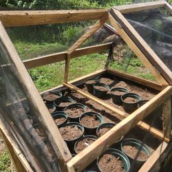 Green House  Planter 