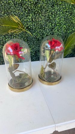 Flower domes x2