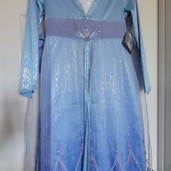 Elsa Costume