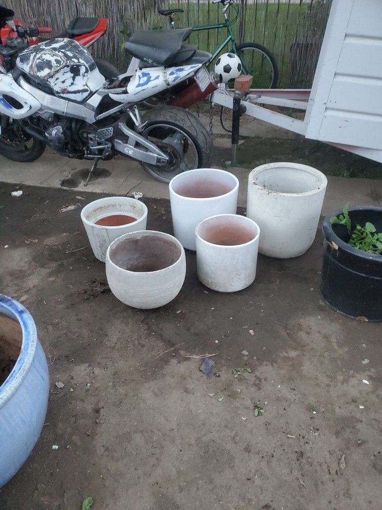 Plant Pots 