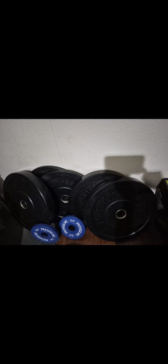 Rogue Bumper Weights And Bar 