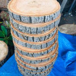 Wood Slices 
