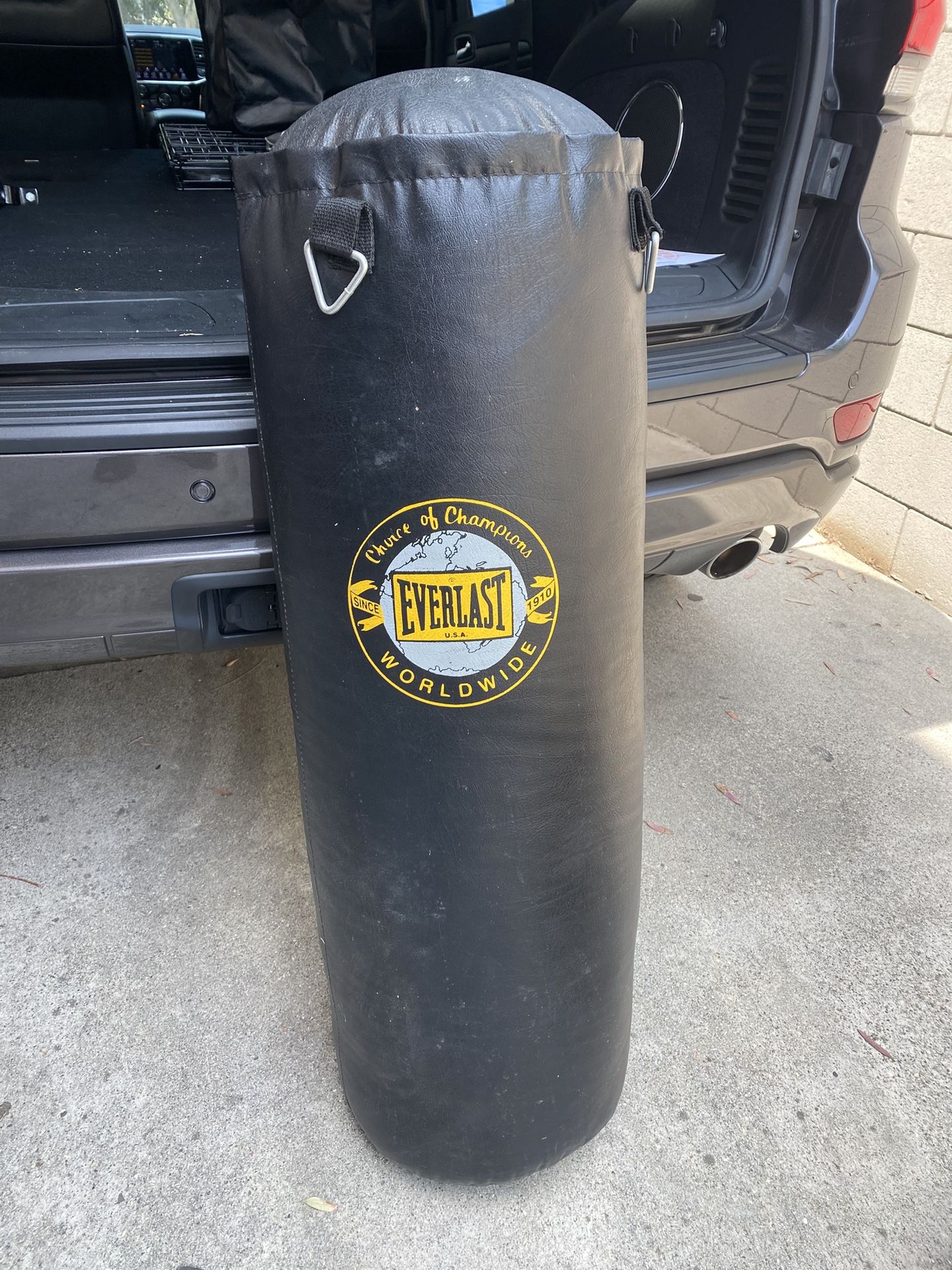 Everlast Punching Bag