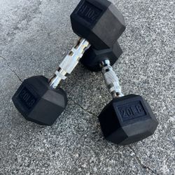 20lb Dumbbells 