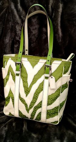 Coach Y2K Limited Edition Bag