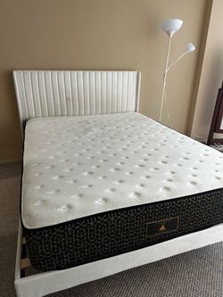 Mattress + Bed