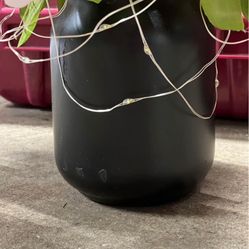 Black Mason Jars