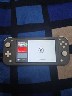 Nintendo switch lite(comes with game and case to keep it in)