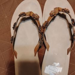 Tan Flip Flops