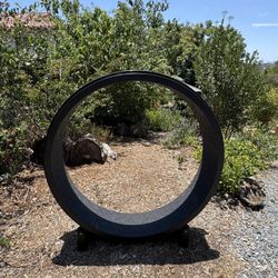 Cat Exercise Wheel $80