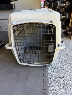 Pet Carrier
