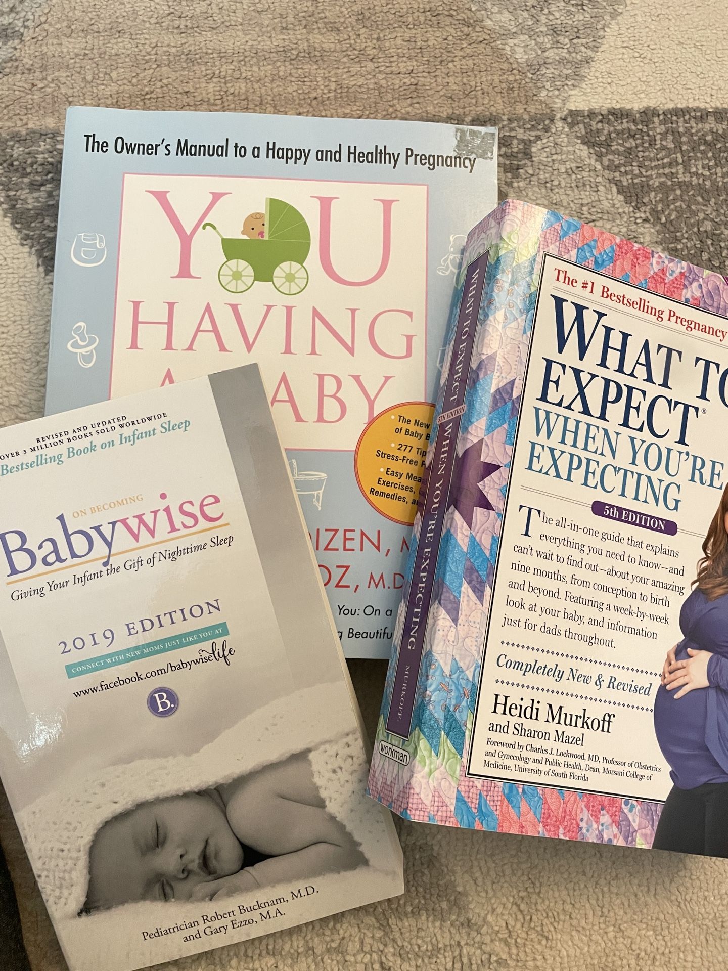 Three Baby Books Bundle or Individual - What To Expect When You’re Expecting, Babywise And You Having A Baby