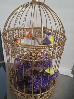 Artificial Bird Cage