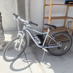 Ladies Schwinn Bike