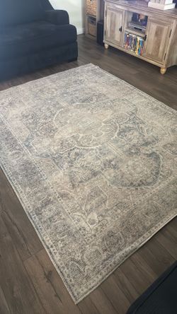 Accent Rug MUST GO TODAY