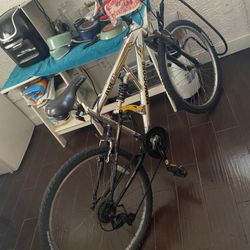 Mongoose Bike