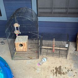 Bird Cage 