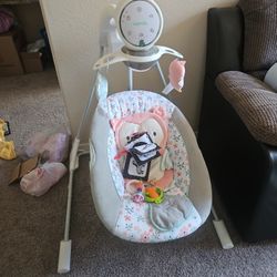 Baby Ingenuity Swing