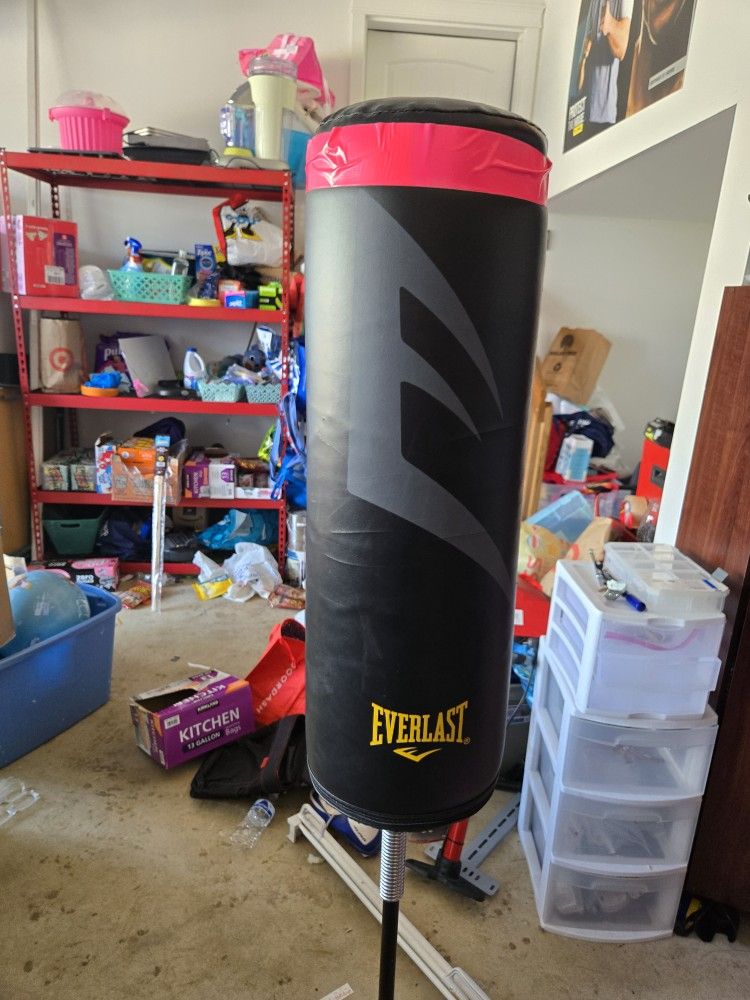 Free Punching Bag