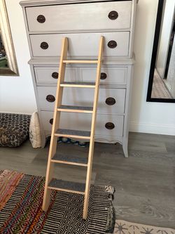 Cat ladder