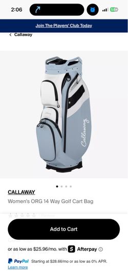 Golf bag - light blue