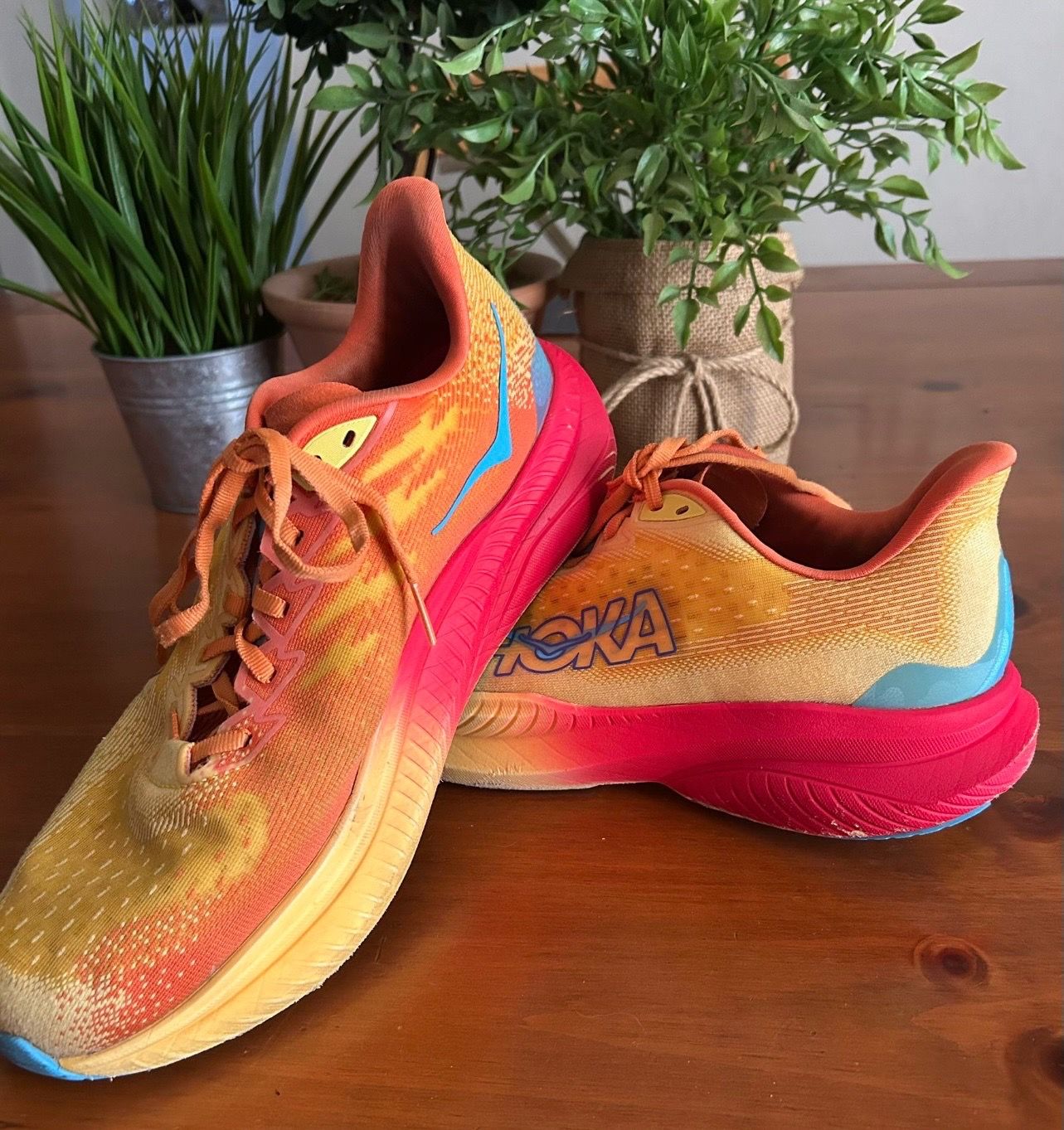 Hoka Shoes