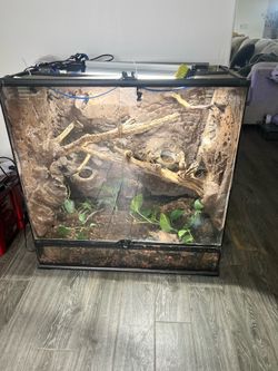 Reptile enclosure glass