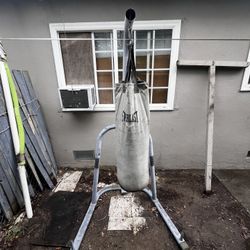 Everlast Punching Bag. Willing To Negotiate 